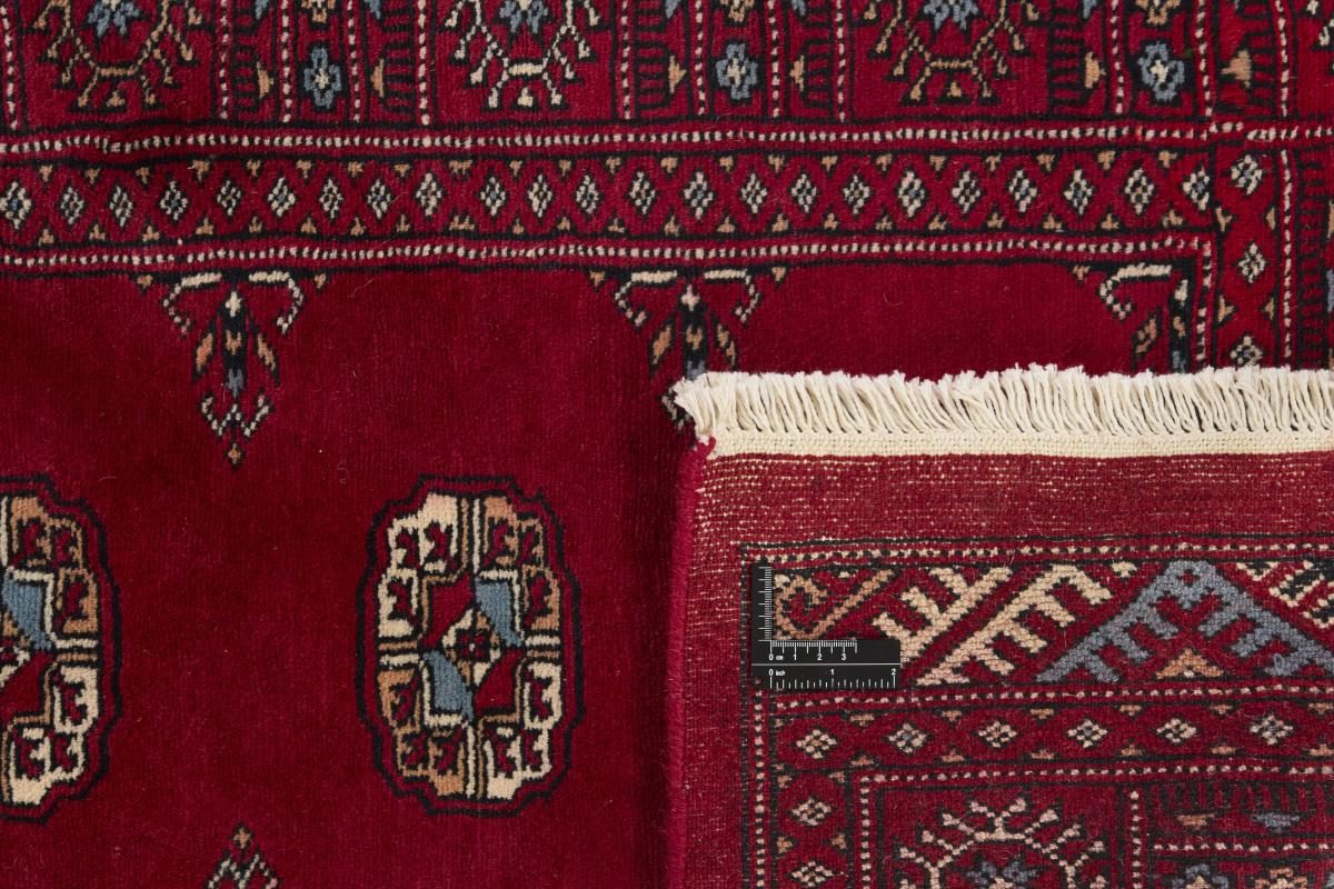 Pakistan Buchara 3ply - 1