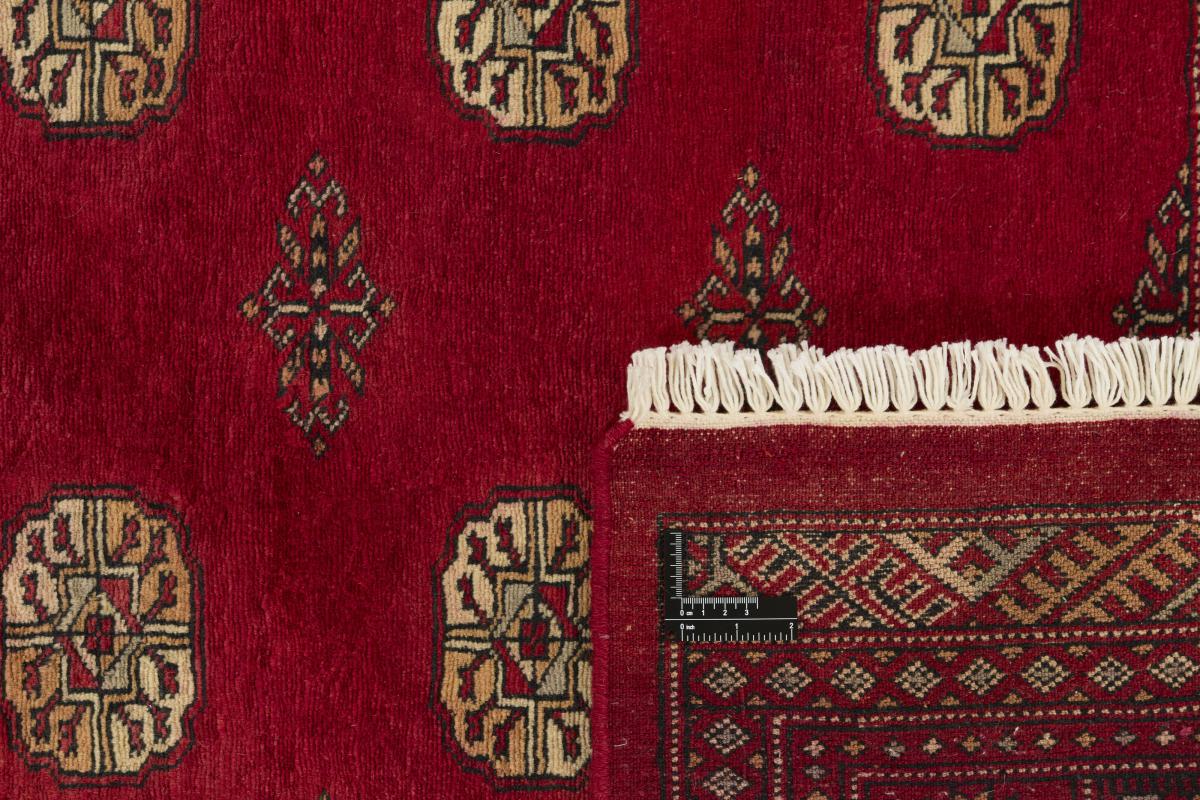 Pakistan Buchara 3ply - 1