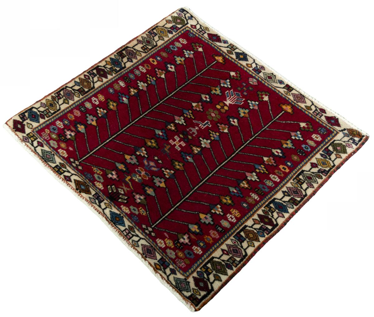 Shiraz - 1