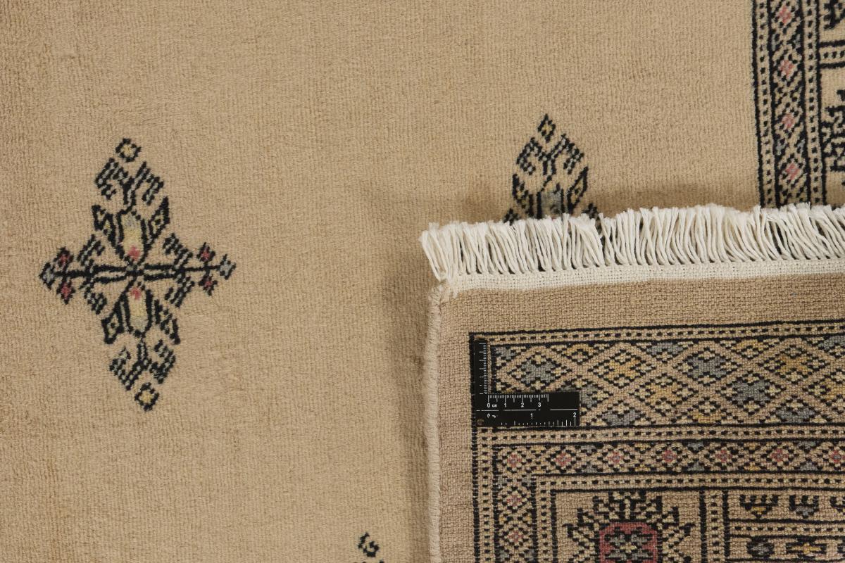 Pakistan Buchara 2ply - 1