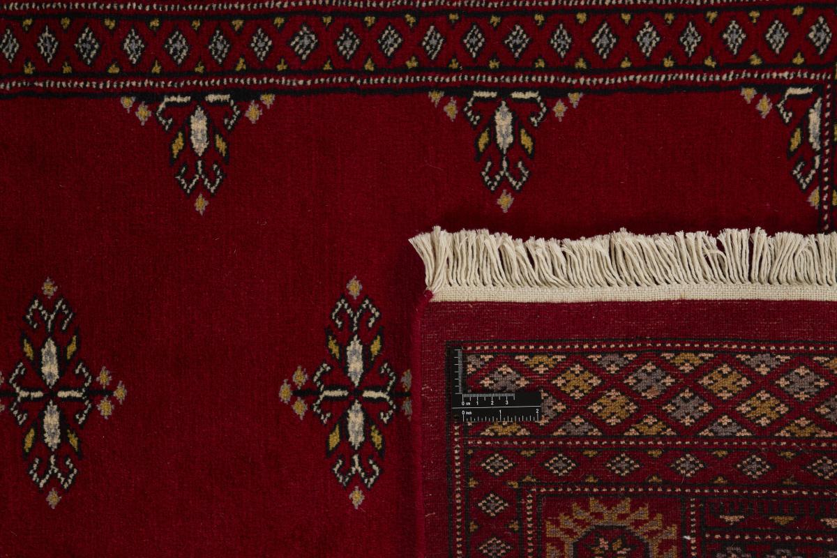 Pakistan Buchara 2ply - 1