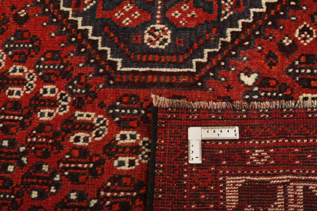 Shiraz - 1