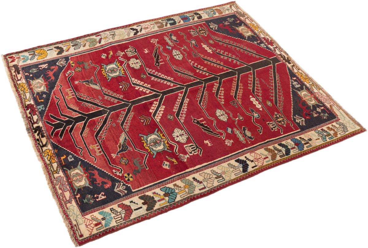 Shiraz - 1