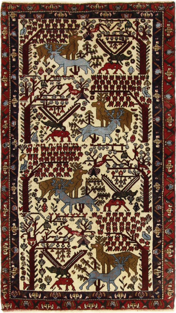 Persisk matta Sirjan 175x99 175x99, Persisk matta Knuten för hand