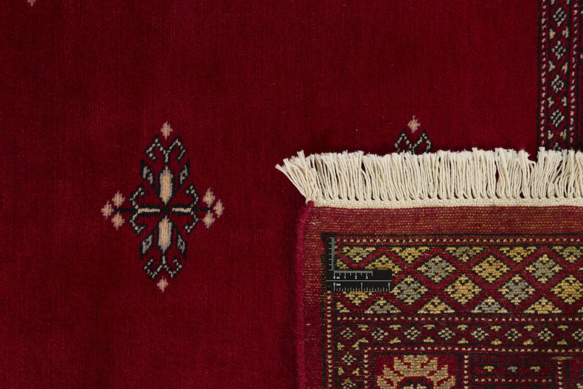 Pakistan Buchara 2ply - 1