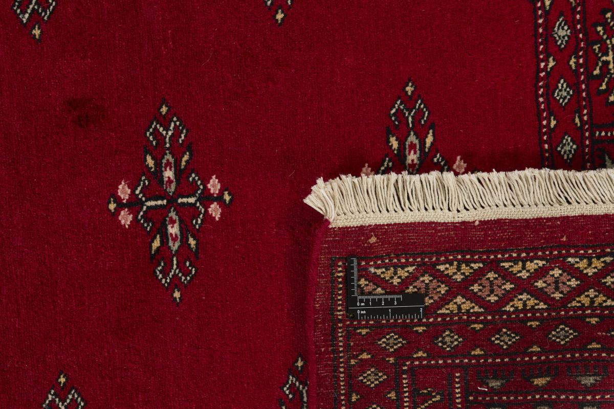 Pakistan Buchara 2ply - 1