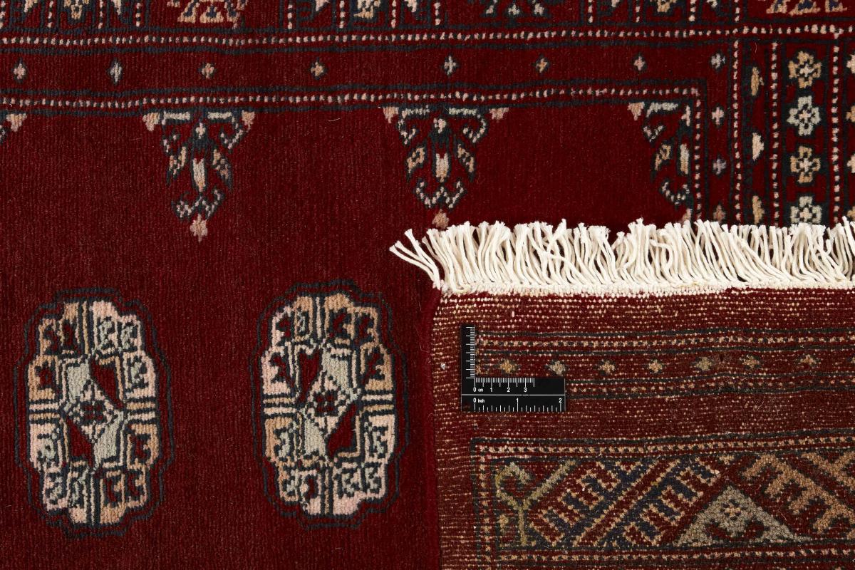 Pakisztáni  Buchara 2ply - 1