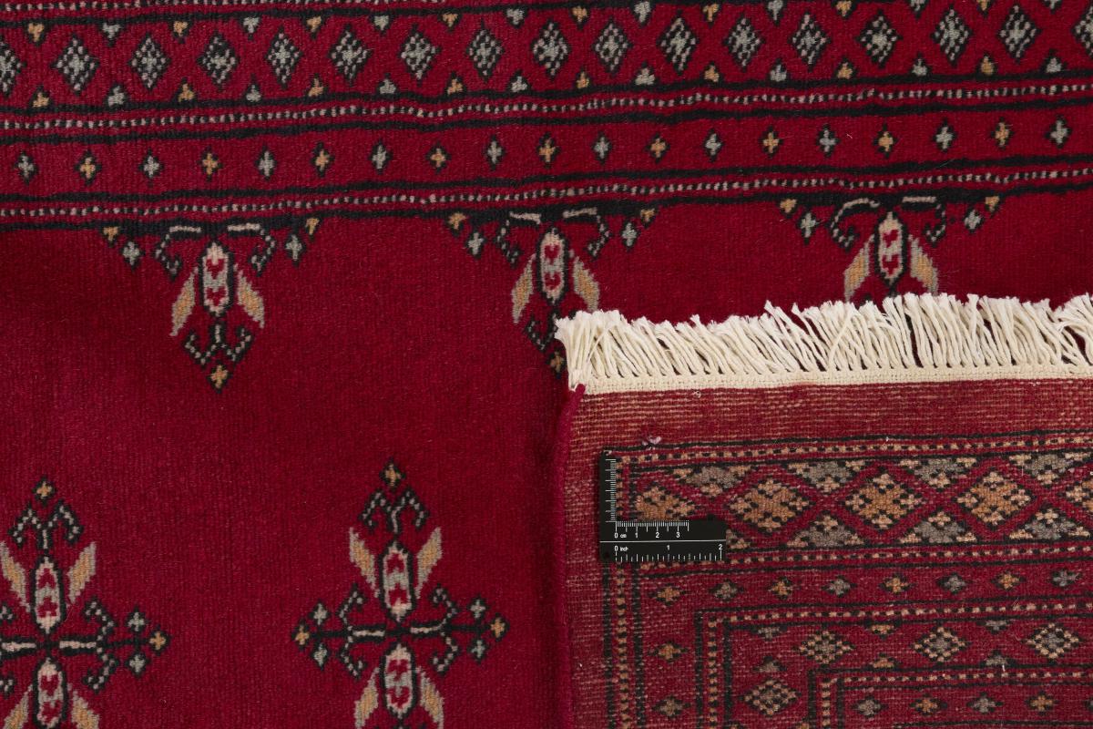 Pakistan Buchara 2ply - 1