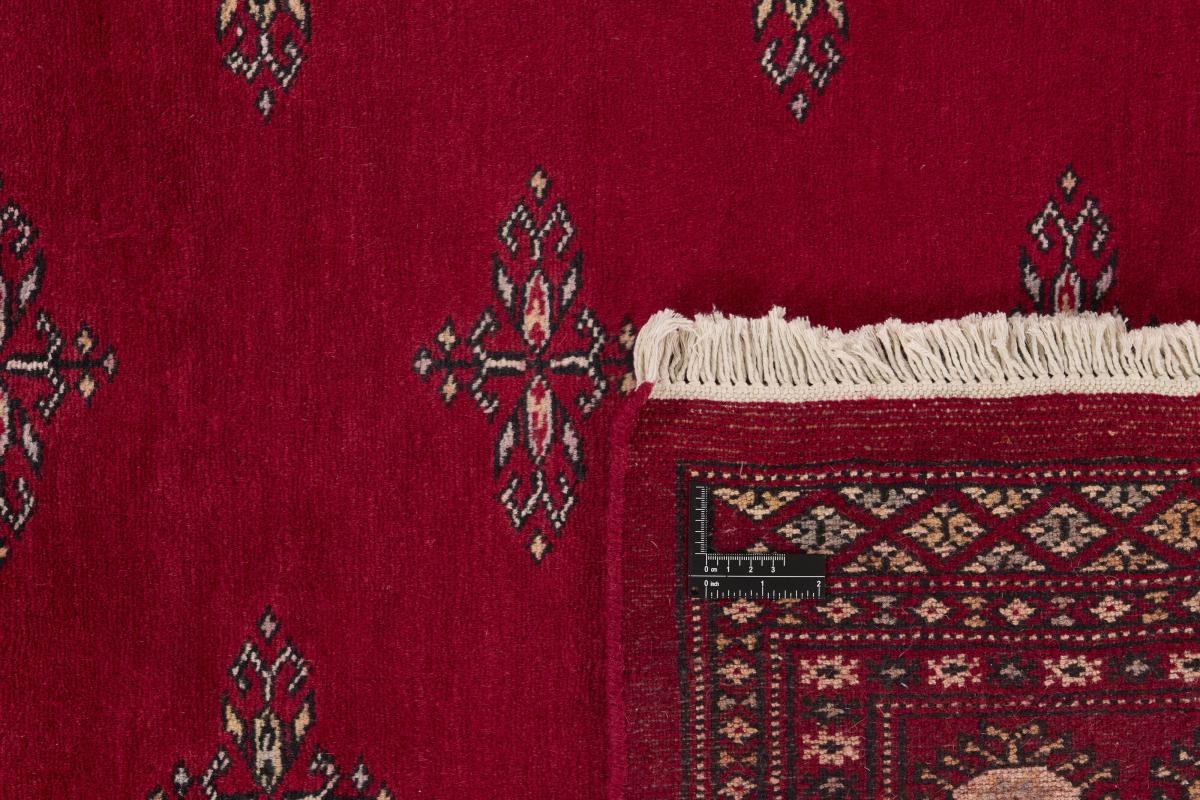 Pakistan Buchara 2ply - 1