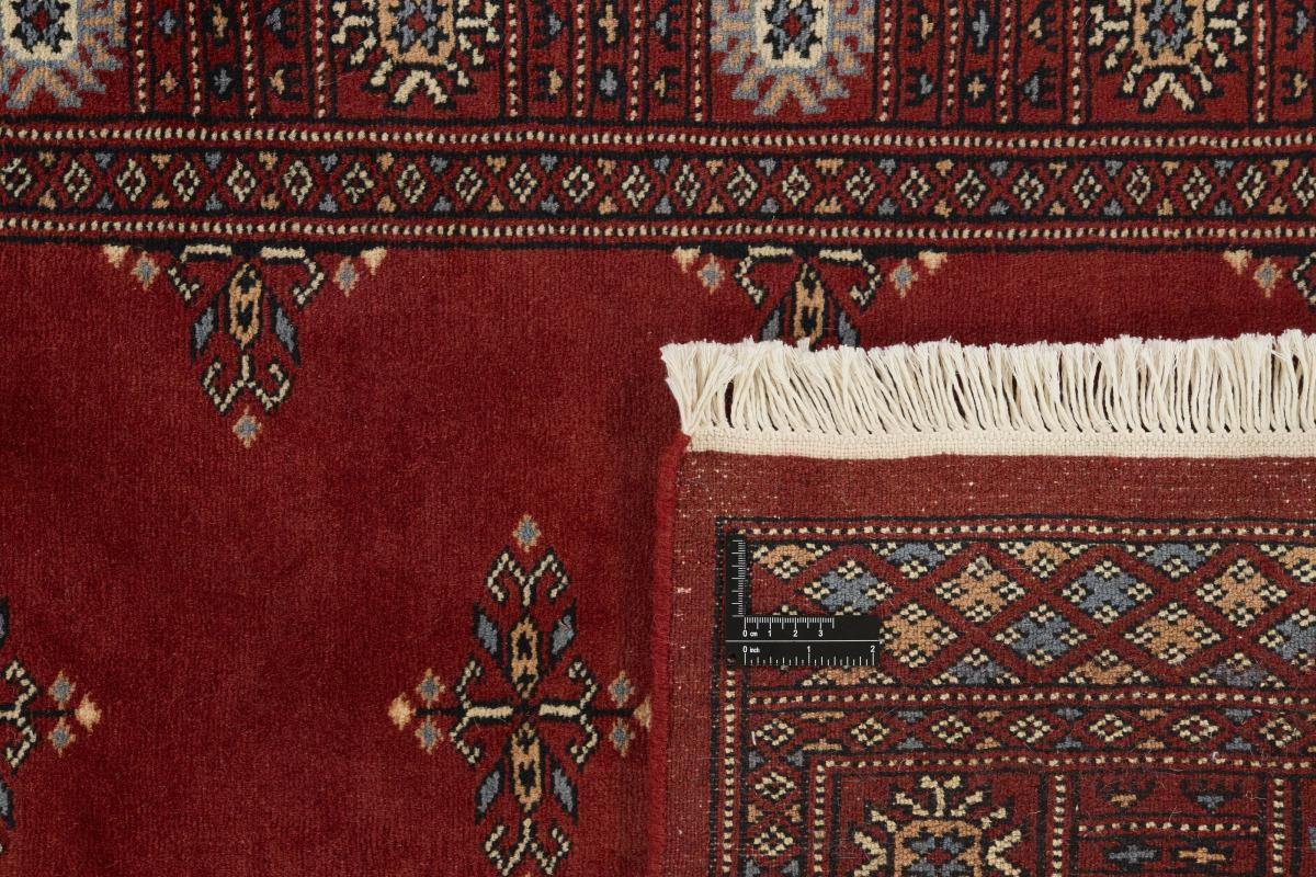 Pakistan Buchara 3ply - 1