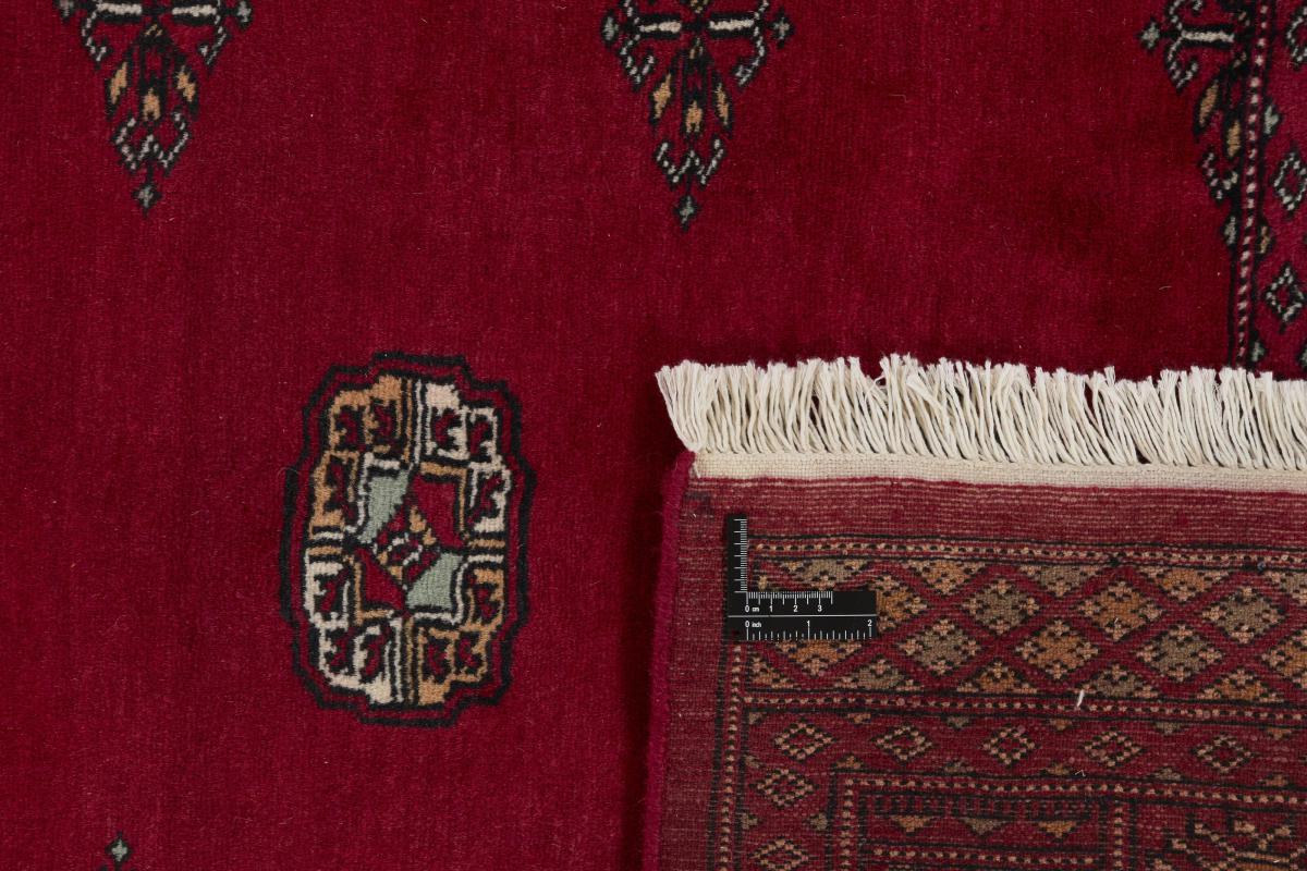 Pakistan Buchara 2ply - 1