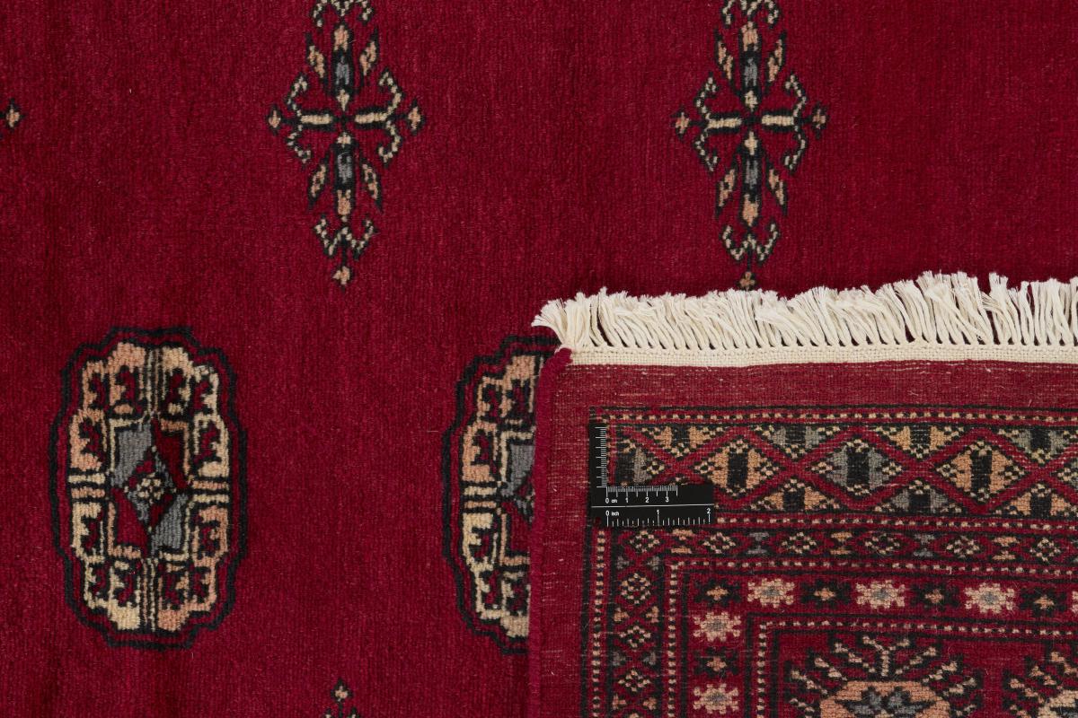 Pakistan Buchara 2ply - 1