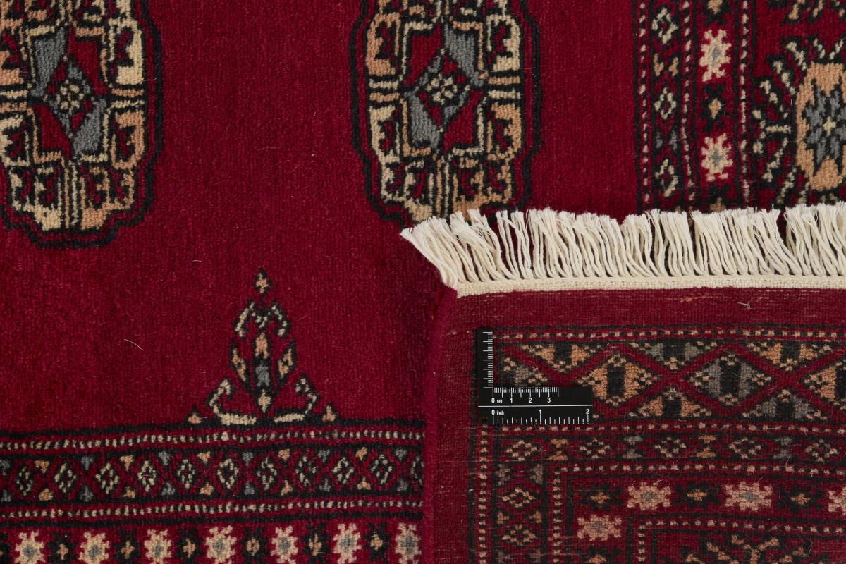 Pakistan Buchara 2ply - 1