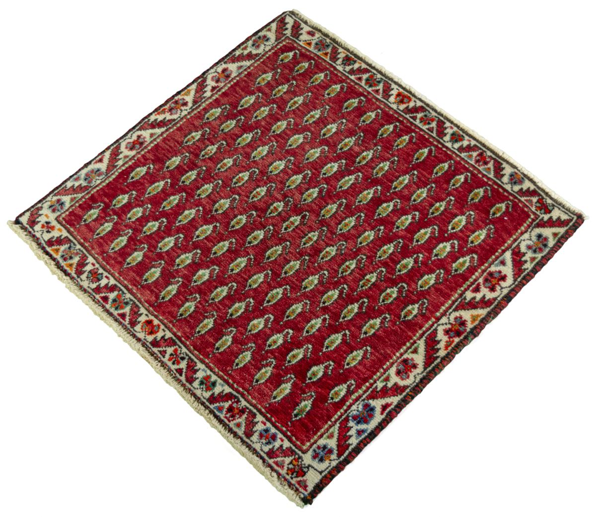 Shiraz - 1