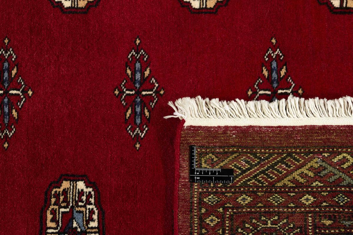 Pakistan Buchara 2ply - 1