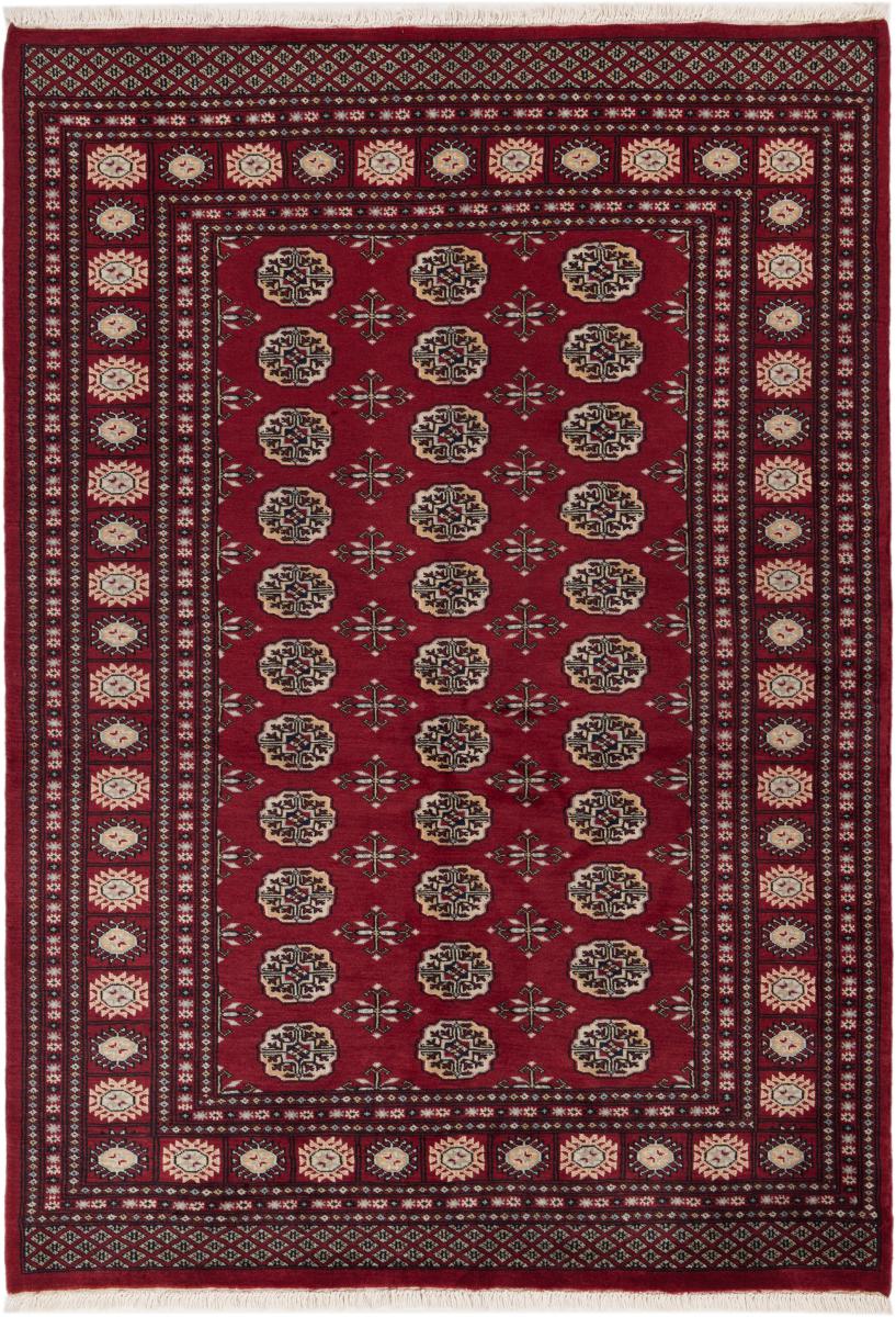 Afghan rug Afghan Mauri 200x140 200x140, Persian Rug Knotted by hand