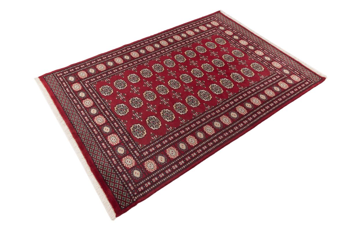 Afghan Mauri - 1