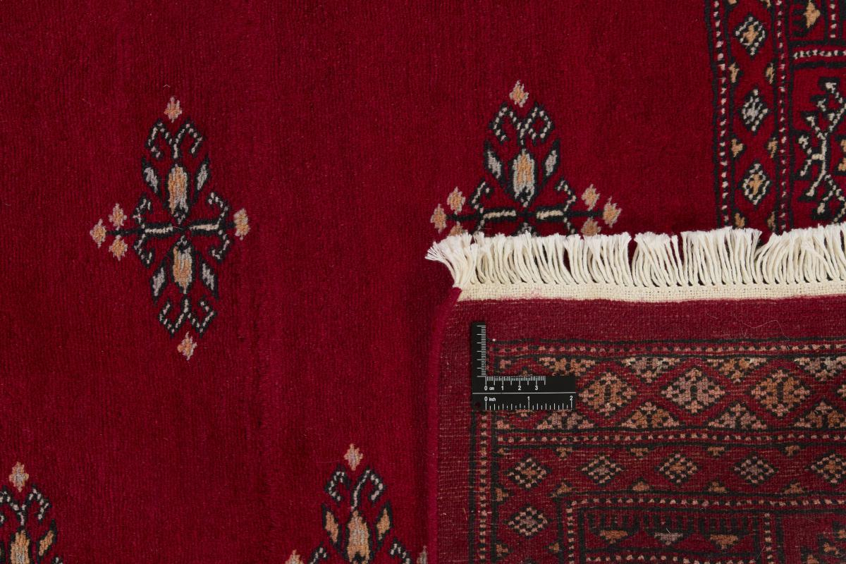 Pakistan Buchara 2ply - 1