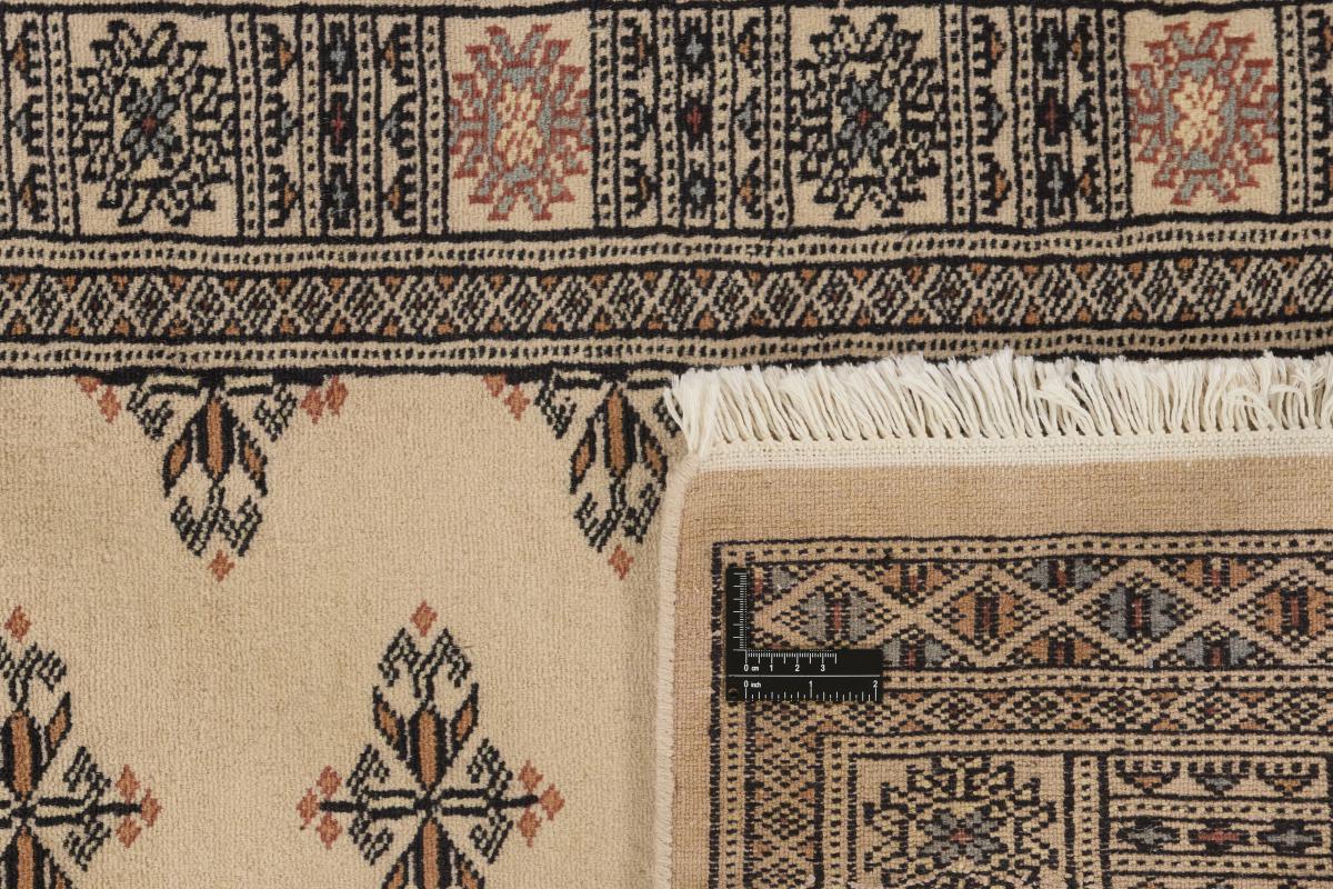 Pakistan Buchara 2ply - 1