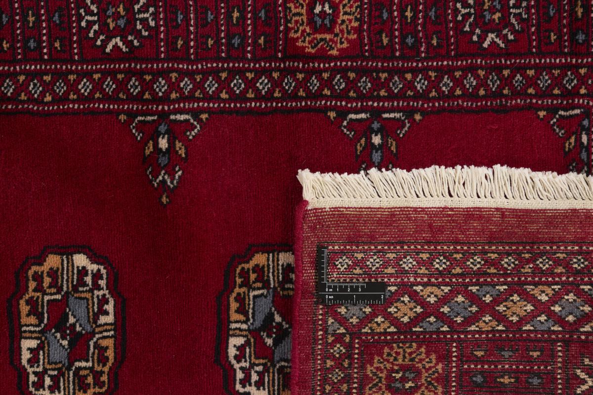 Pakistan Buchara 2ply - 1