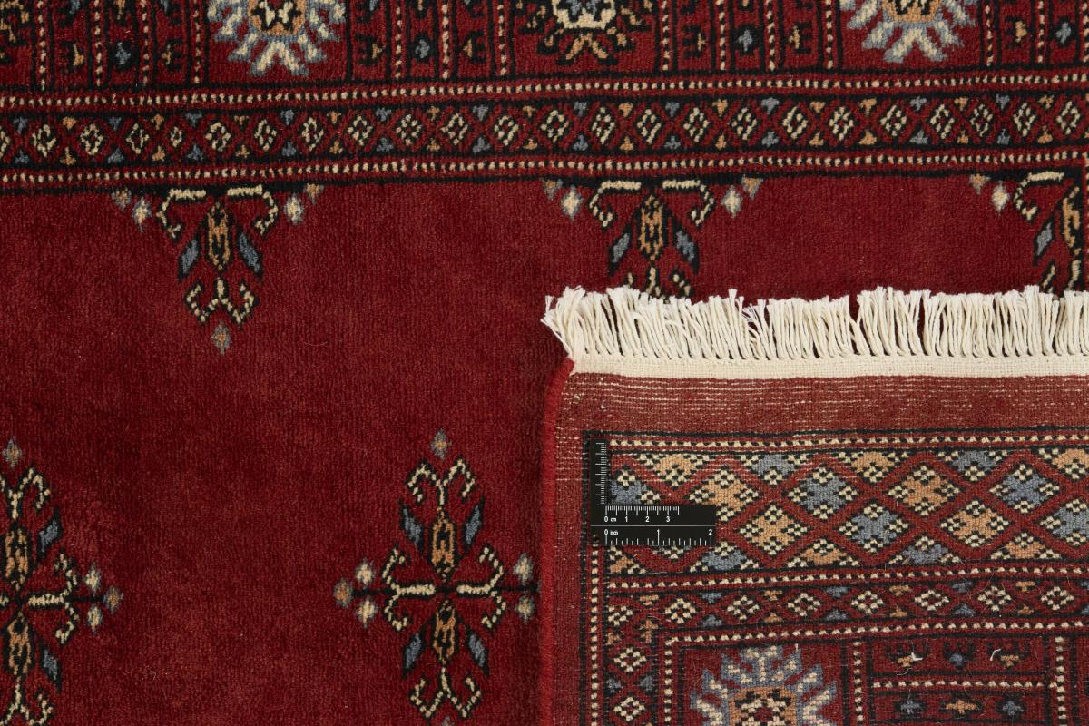 Pakistan Buchara 3ply - 1