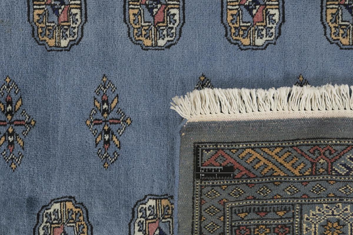 Pakistan Buchara 3ply - 1