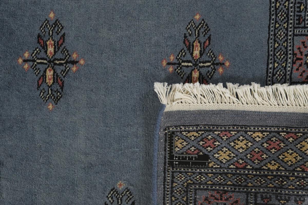 Pakistan Buchara 2ply - 1