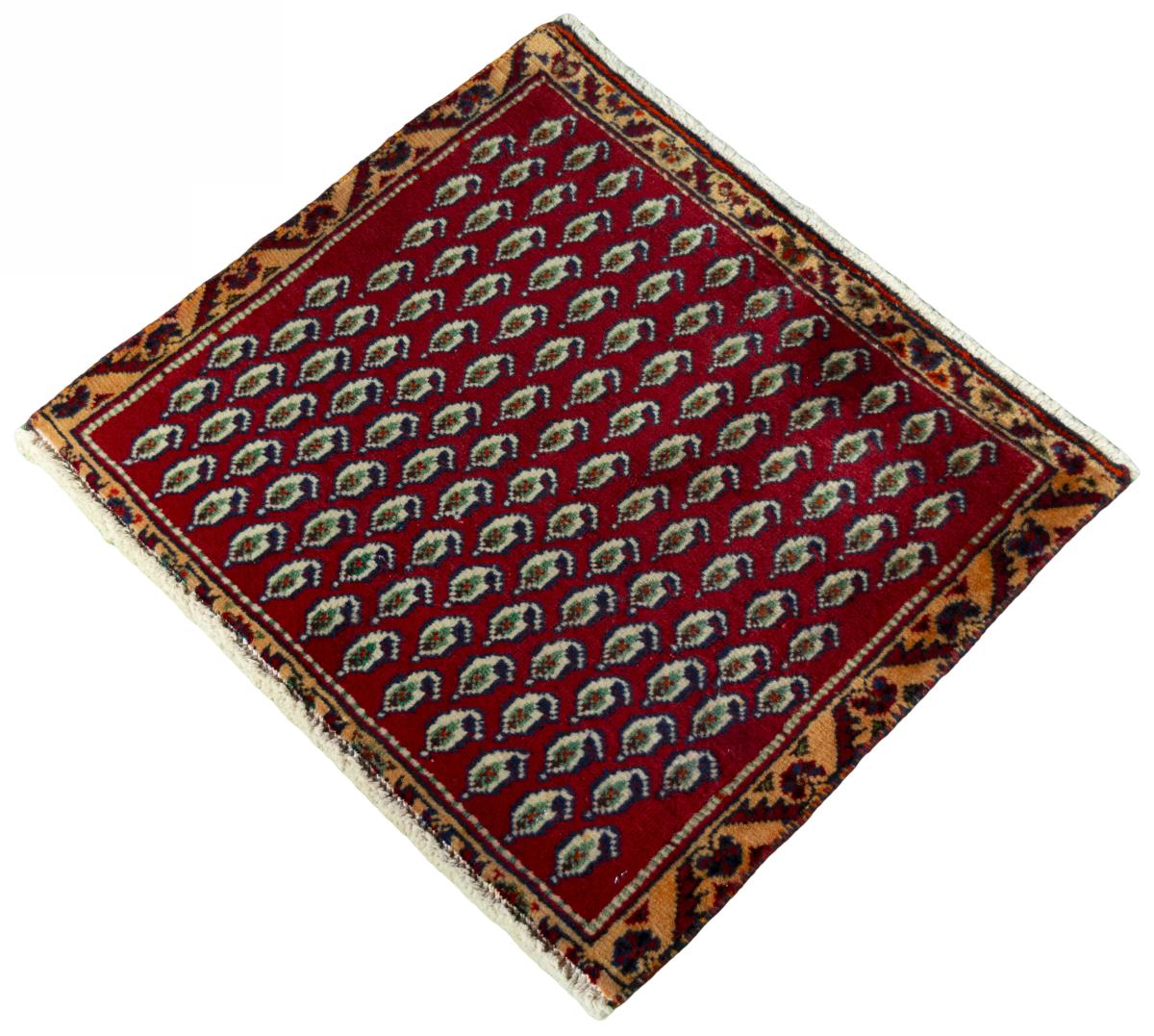 Shiraz - 1
