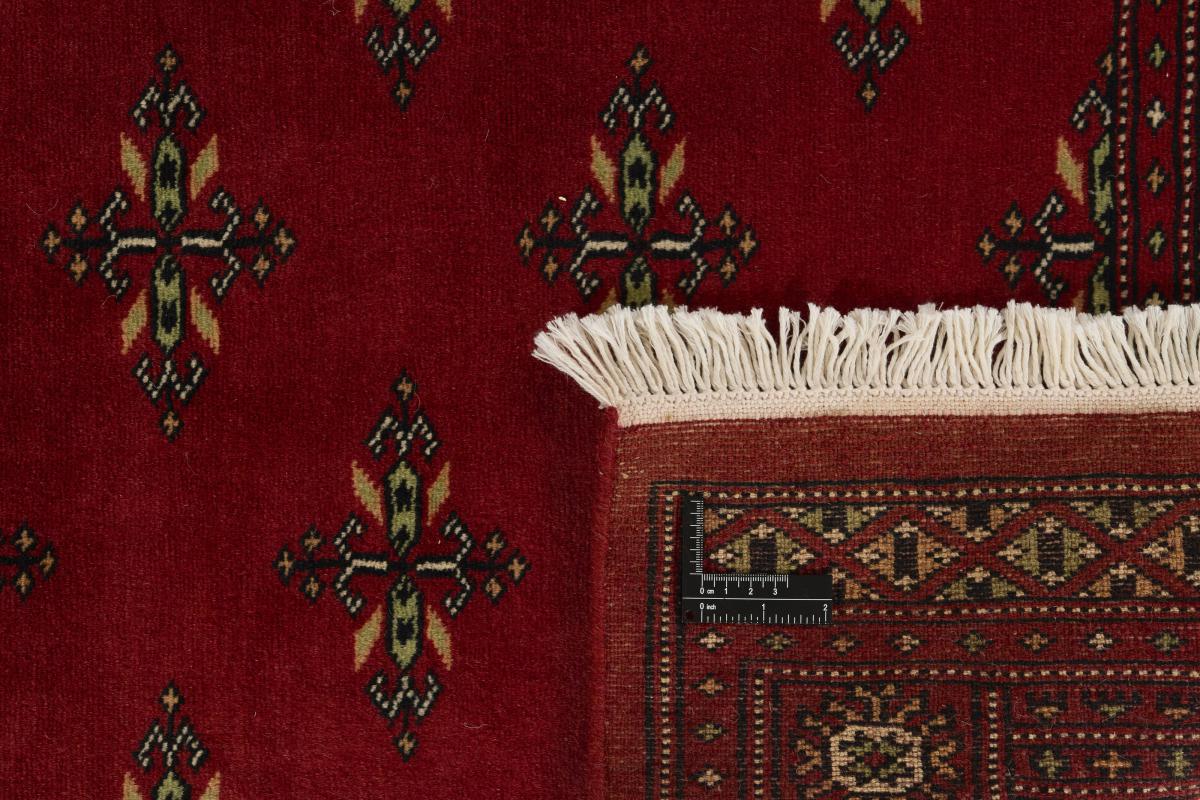 Pakistan Buchara 2ply - 1