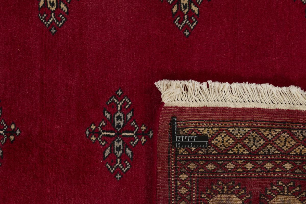 Pakistan Buchara 2ply - 1