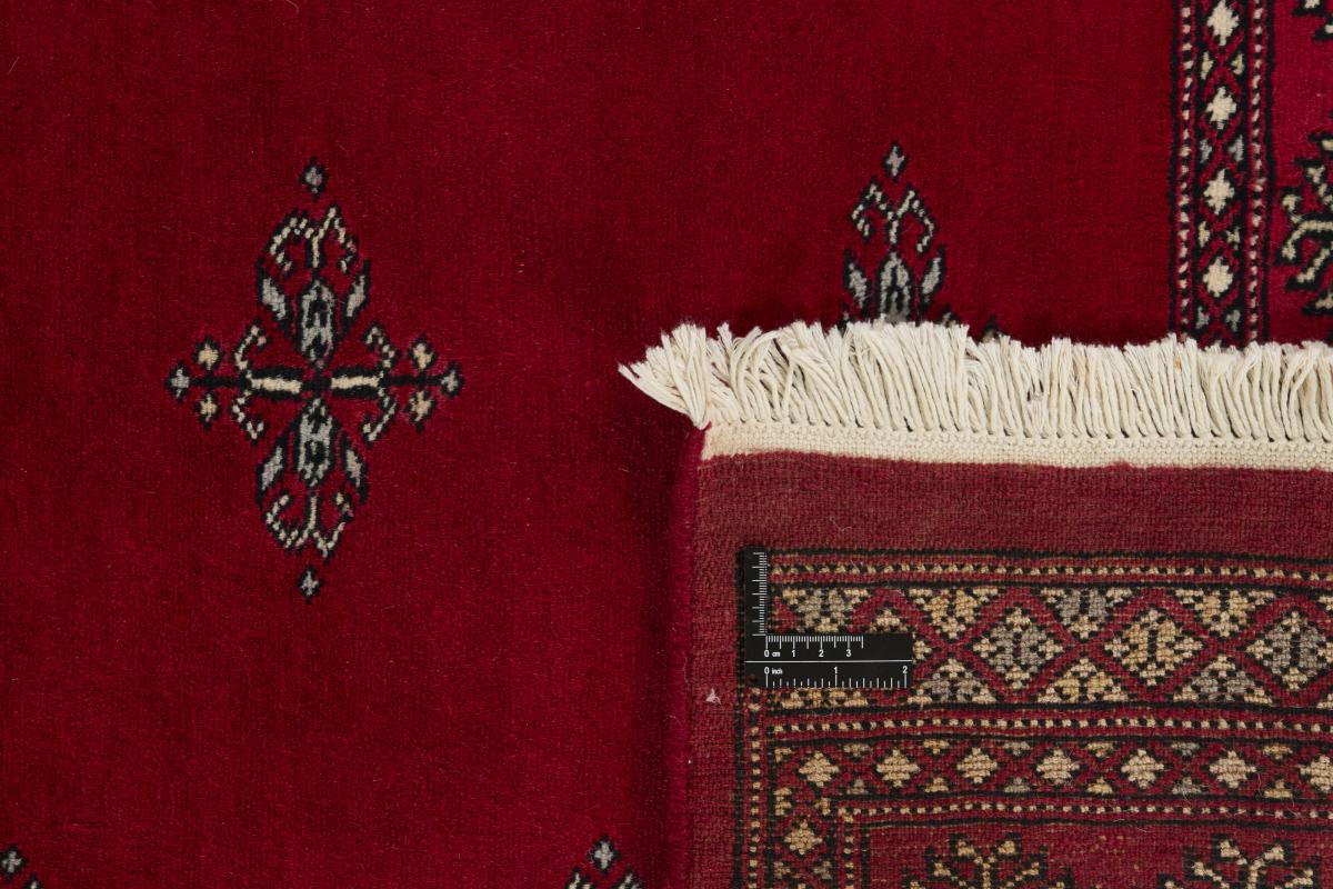 Pakistan Buchara 2ply - 1