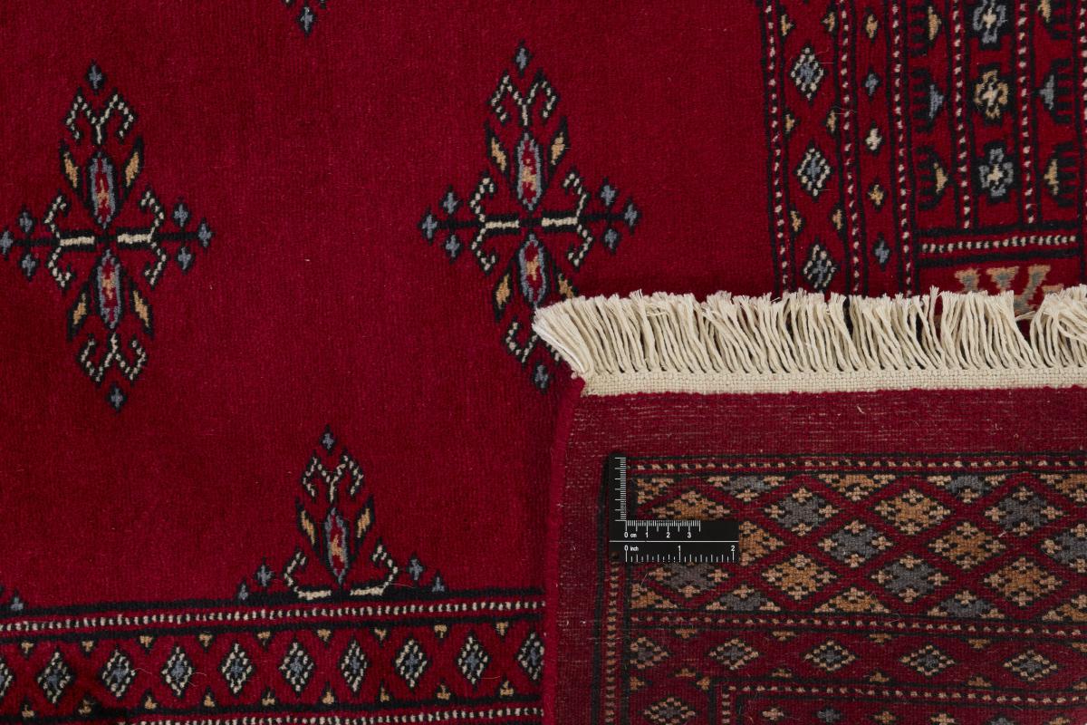 Pakistan Buchara 2ply - 1