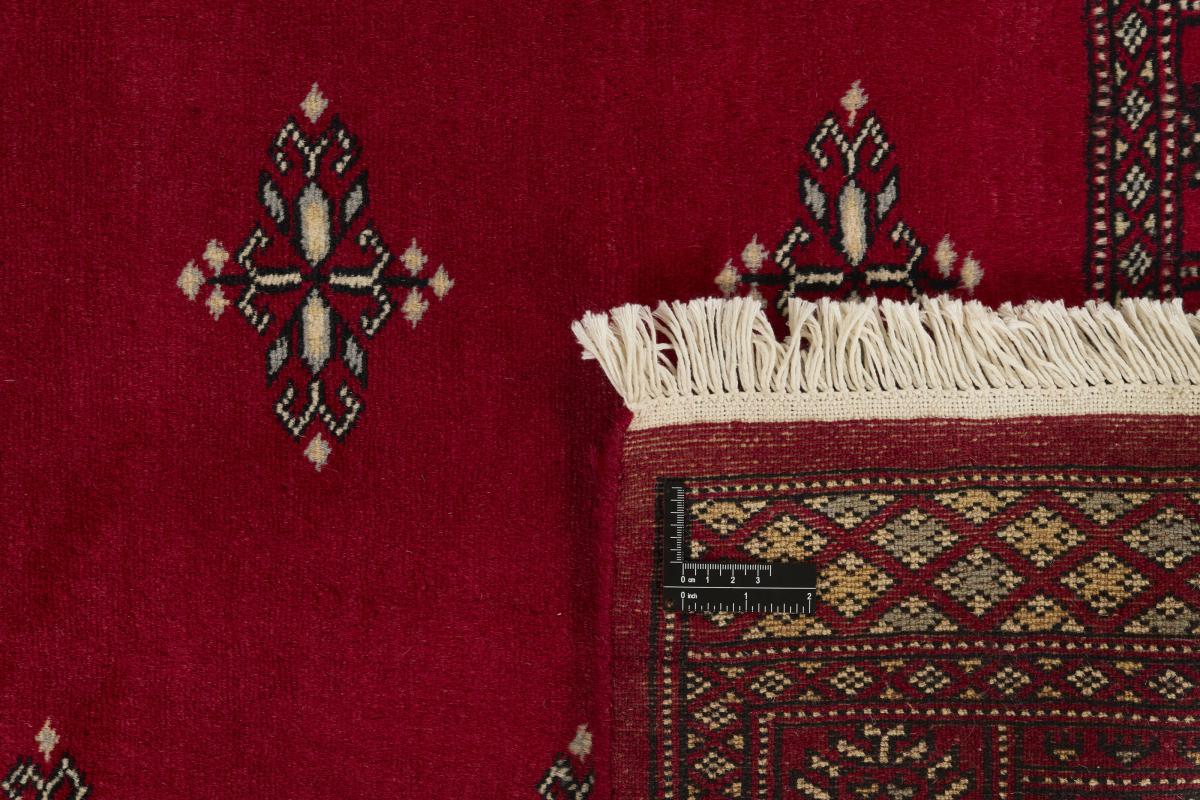 Pakistan Buchara 2ply - 1
