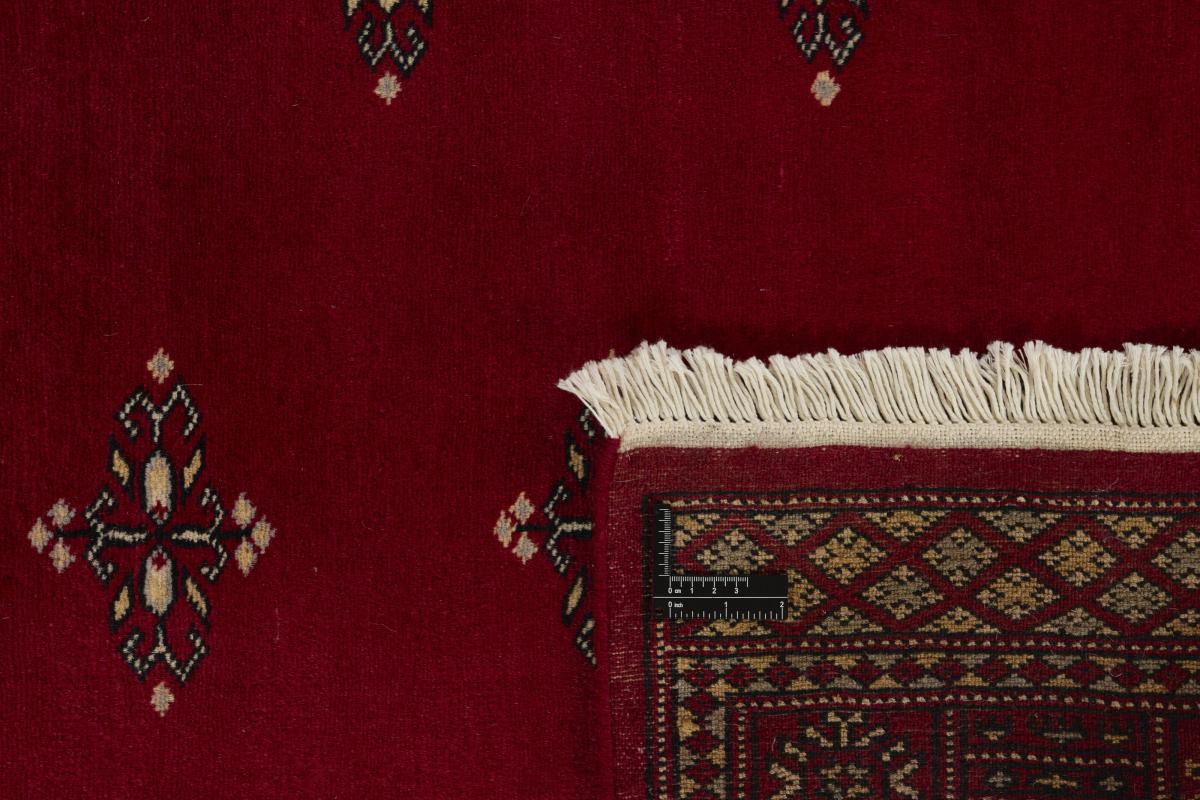 Pakistan Buchara 2ply - 1