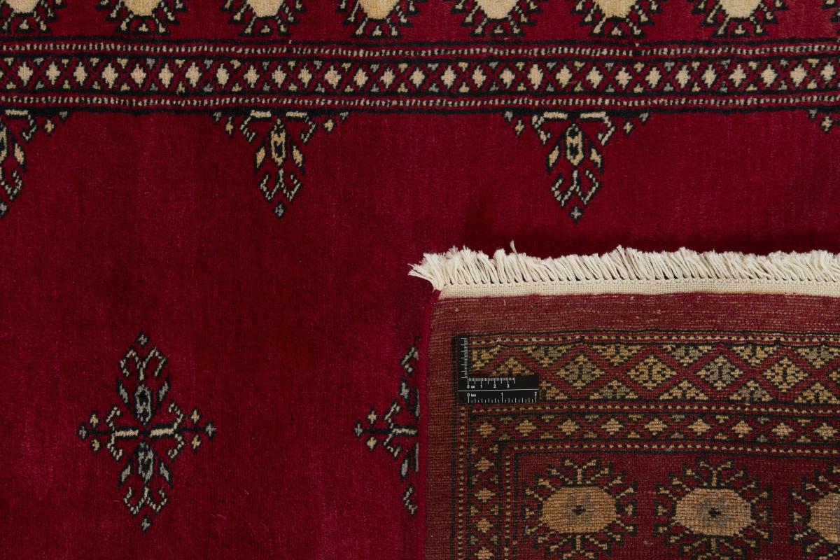 Pakistan Buchara 2ply - 1