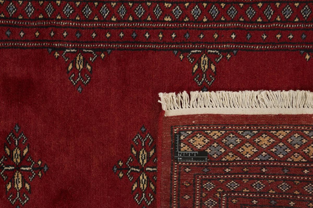 Pakistan Buchara 2ply - 1