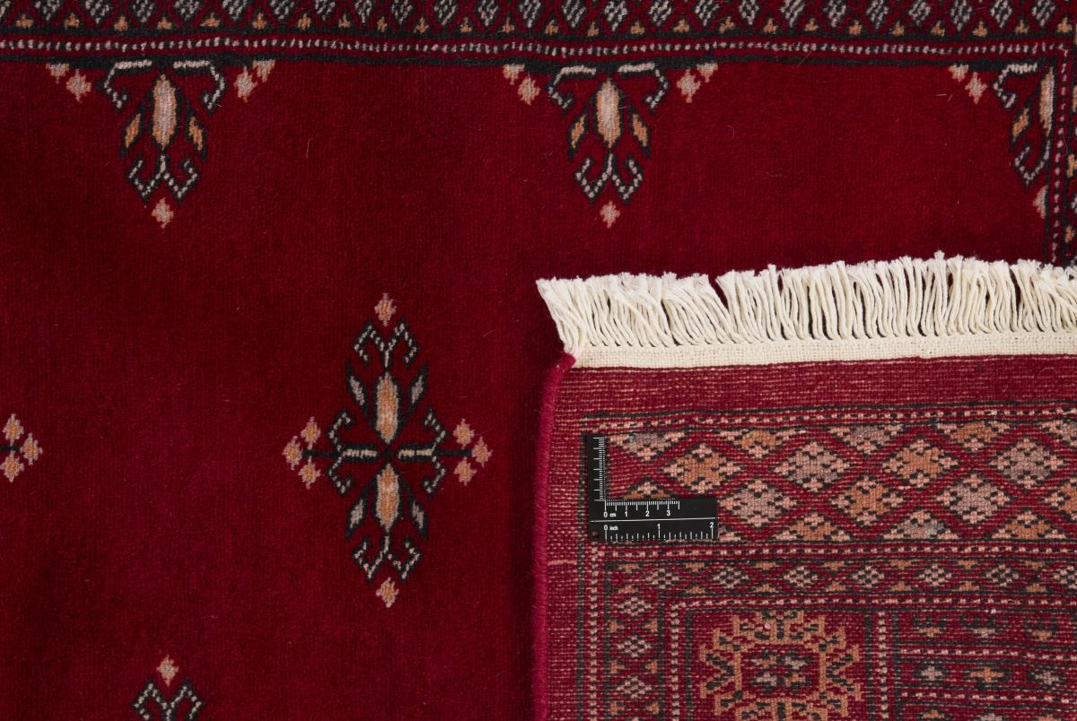 Pakistan Buchara 2ply - 1