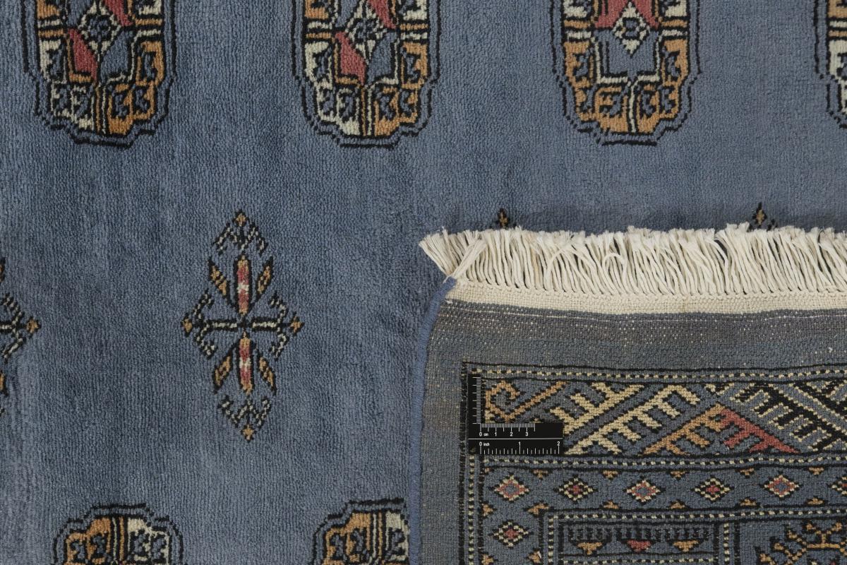 Pakistan Buchara 3ply - 1