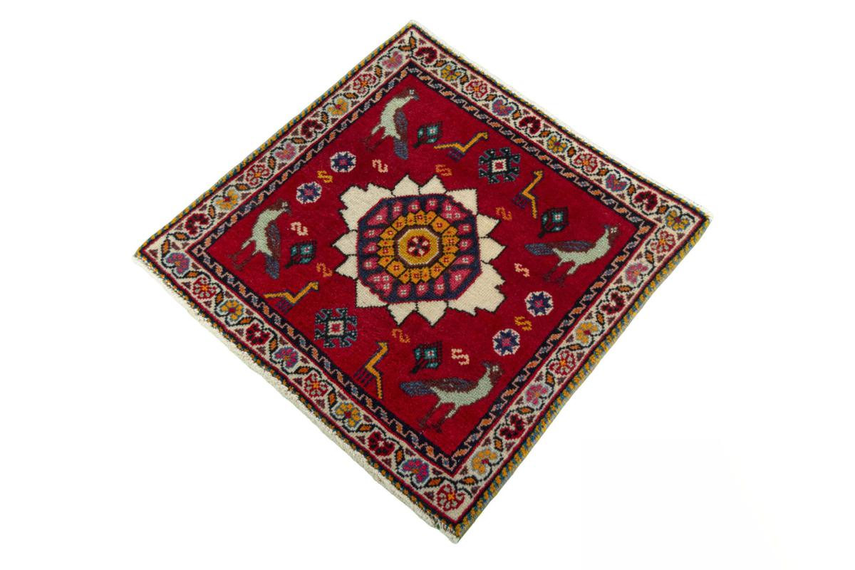 Shiraz - 1