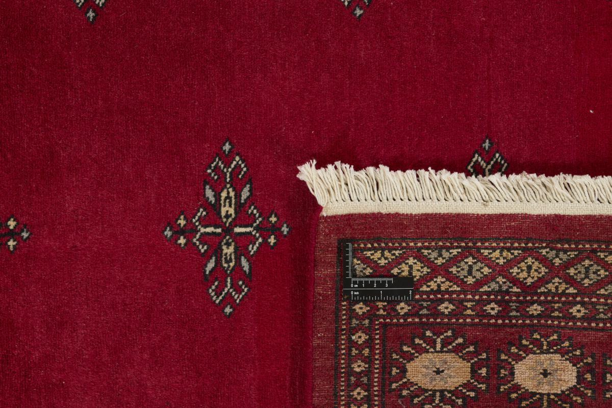 Pakistan Buchara 2ply - 1