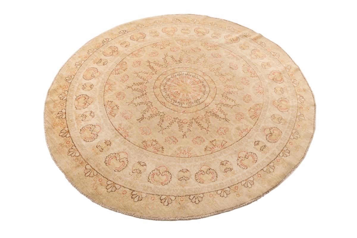 Ziegler Farahan - 1