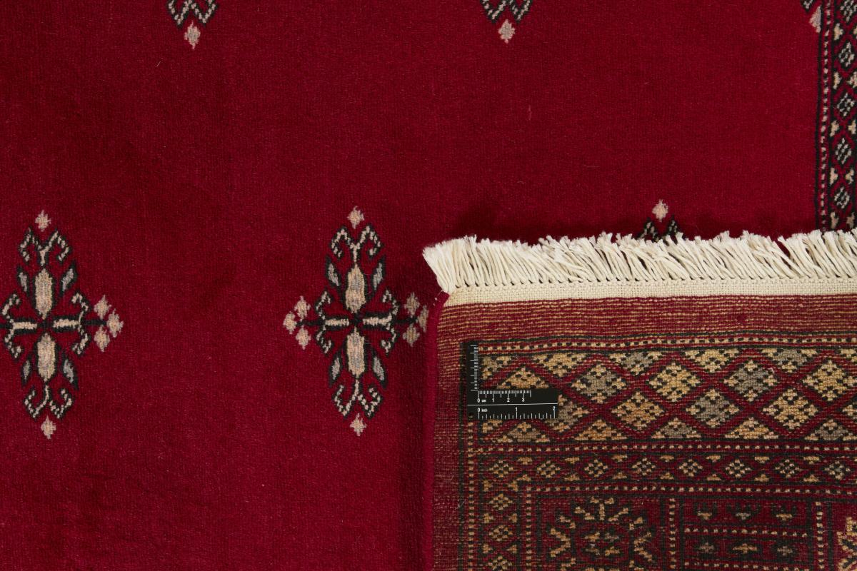 Pakistan Buchara 2ply - 1