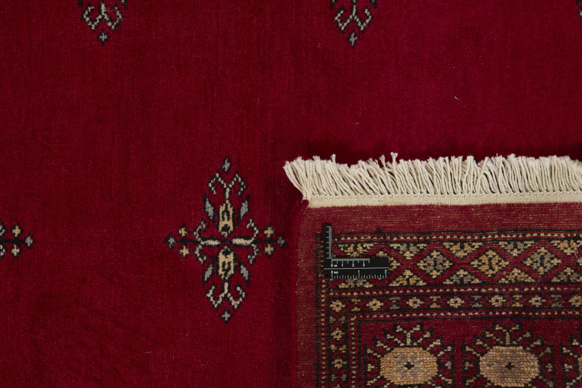 Pakistan Buchara 2ply - 1