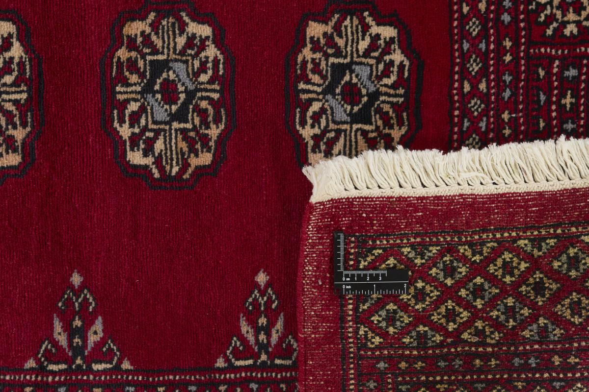 Pakistan Buchara 2ply - 1
