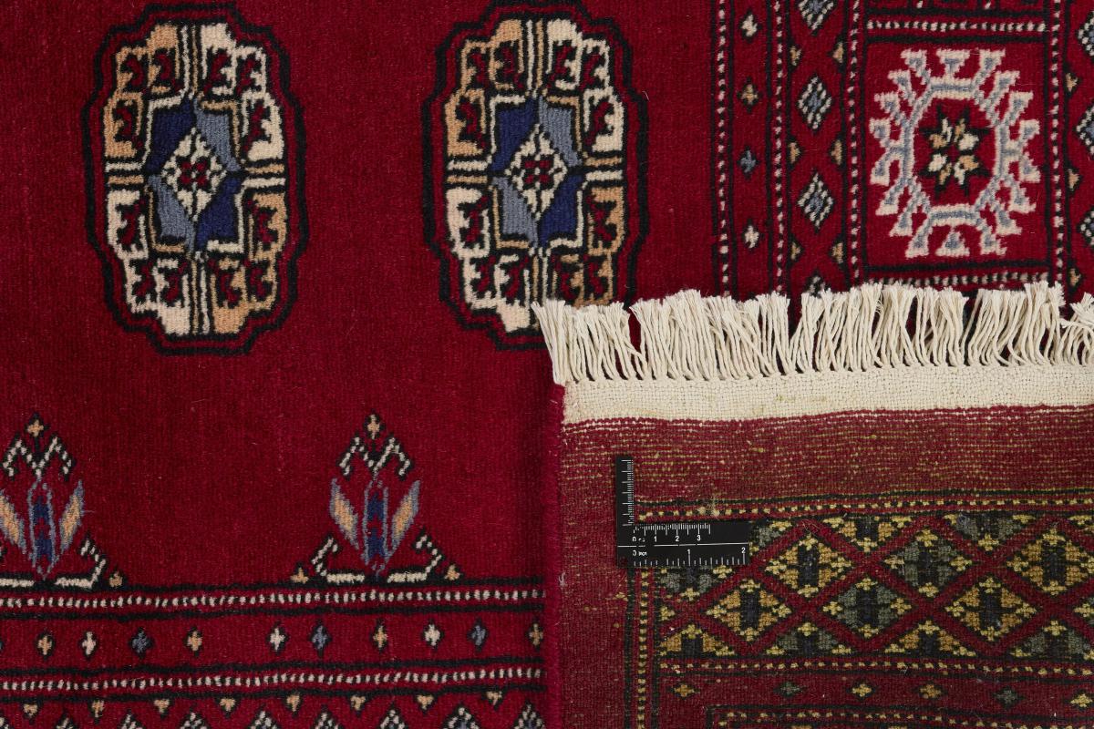 Pakistan Buchara 2ply - 1