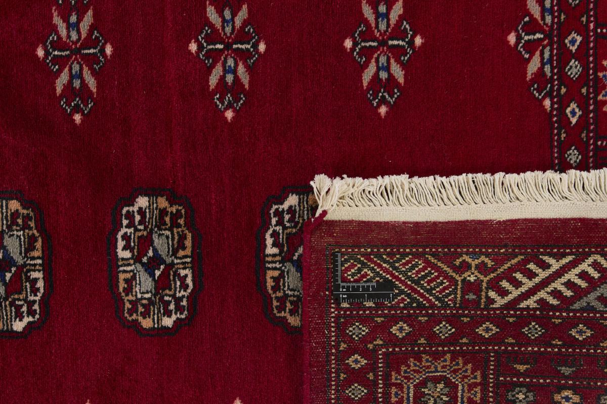 Pakistan Buchara 2ply - 1