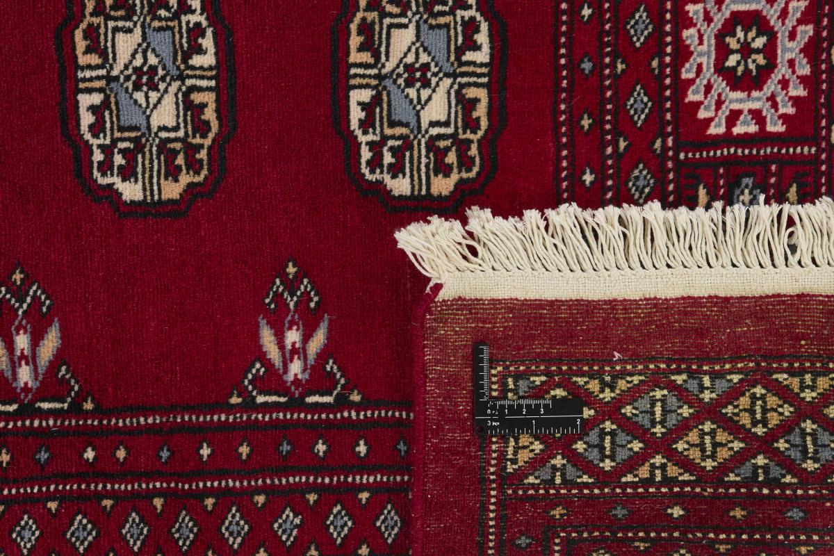 Pakistan Buchara 2ply - 1