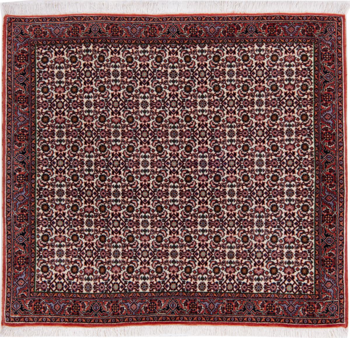 Persian Rug Bidjar 149x72 149x72, Persian Rug Knotted by hand