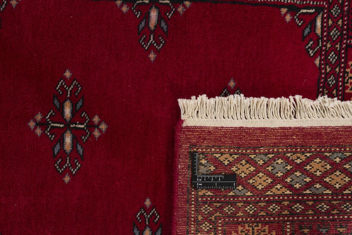 Pakistan Buchara 2ply - 1