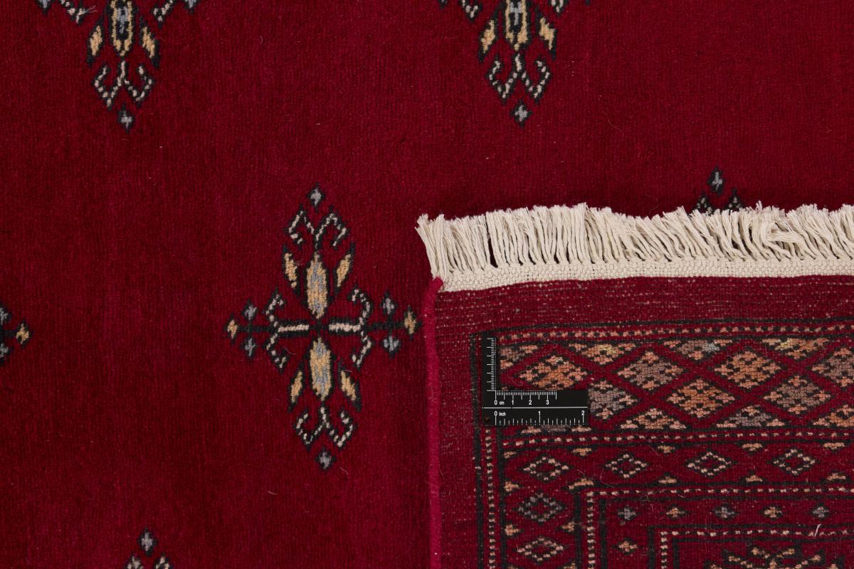 Pakistan Buchara 2ply - 1